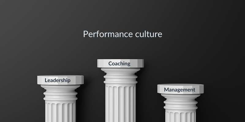 performance and coaching culture
